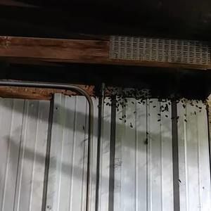 Meet your Posher, Monte